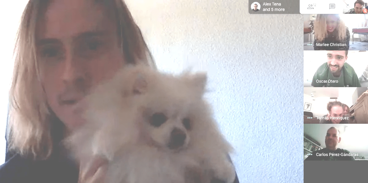 Ryan's dog Uma is our plank champion!